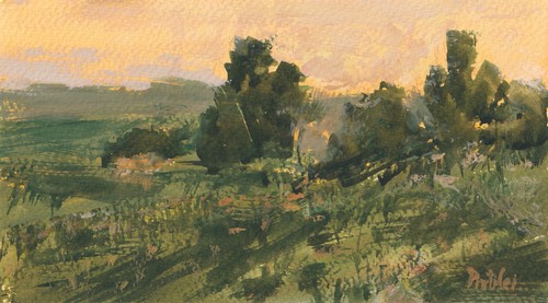 Sunset green vegetation landscape painting