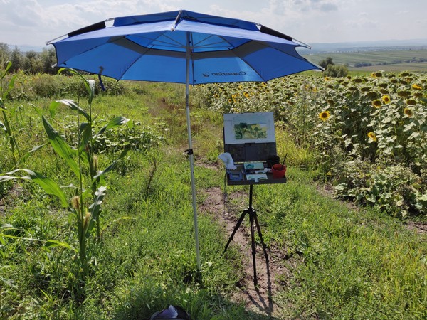 Sunflower fields landscape painting with easel and umbrella