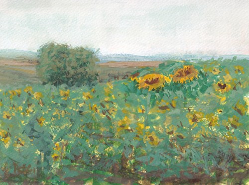 Sunflower fields landscape painting